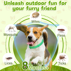 Trihood adjustable-fit collar shown for easy sizing and secure wear.