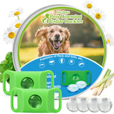 Trihood natural dog tag green 2-pack attached to collar for chemical-free flea prevention.