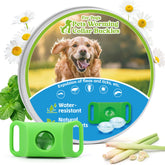 Trihood dog tag in green attached to a collar for natural flea and tick protection.