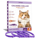 TriOak pheromone collar on a cat promoting calm during indoor routines.