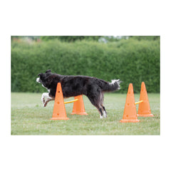TRIXIE quick assembly design saves setup time for indoor and outdoor sessions.