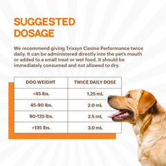 TRIXSYN hyaluronic acid for dogs boosts mobility when mixed with meals