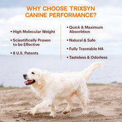 TRIXSYN bottle close-up shows patented MHB3 formula for joint support