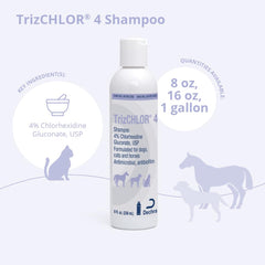 TrizCHLOR 4 Shampoo close-up showing cleansing lather on fur.