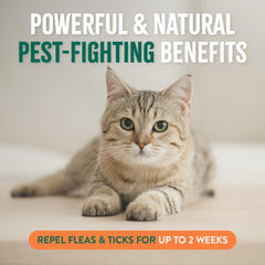 TropiClean bottle showcases cedarwood and rosemary oils for pets.