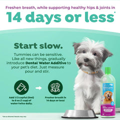 TropiClean Fresh Breath Water Additive label closeup emphasizes glucosamine for joint comfort in dogs