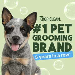TropiClean Gentle Puppy Shampoo with oatmeal and aloe soothing the skin.