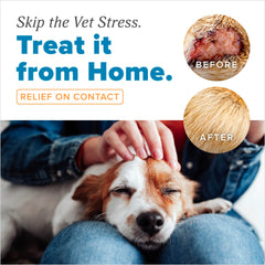 Skin irritation before and after TropiClean HomeVet soothing application.