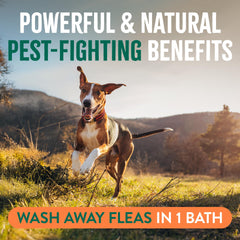 TropiClean Max Strength dog bath scene during outdoor adventures.