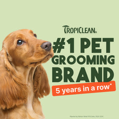 TropiClean Papaya & Coconut wipes paws for gentle cleaning after adventures.
