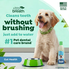 TropiClean prebiotics for gut health helps dogs’ digestion during daily routines.