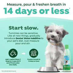 TropiClean water bowl with additive promotes breath-friendly hydration at mealtimes.