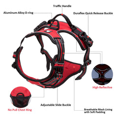 TRUE LOVE TLH5651 under-belly strap for secure harnessing during runs.