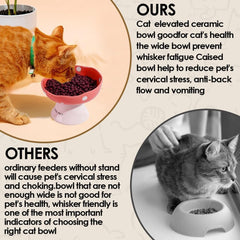 TRUNDISAN wide shallow cat food dish β whisker-friendly meal for comfortable eating.
