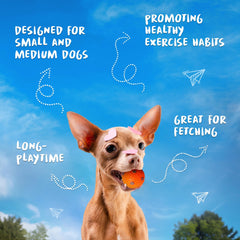 Trustic Balls two-inch ball launcher compatible design for easy automated fetch.