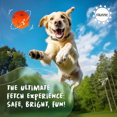 Trustic Balls two-inch dog balls with non-slip rubber for secure play.