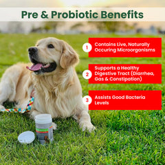 TrustWELL PawMedica dog probiotics chews closeup showing tasty texture and chewable form