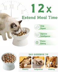 TRUVIC elevated base keeps bowls stable during active mealtimes for cats