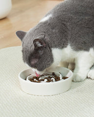 TRUVIC small-breed ceramic slow feeder cat bowl with 0.6 cup capacity