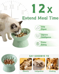 TRUVIC heavy-weight stable-base prevents tipping for calm, mess-free feeding.