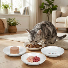 TRUVIC wide shallow bowls ease whisker fatigue for flat-faced pets.