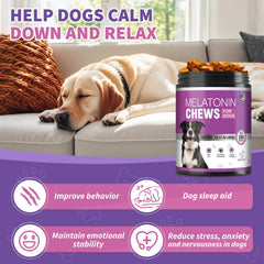TTIXRL Calming Melatonin Dog Chews on a relaxed dog ready for peaceful sleep.