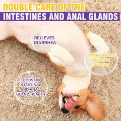 TTIXRL dog anal gland soft chews chicken flavor for rewards