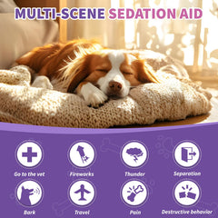 TTIXRL Dog Chews pictured during a thunderstorm for calming relief.