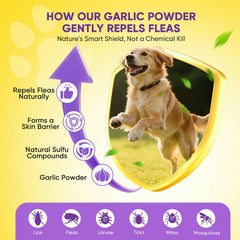 TTLXBL chicken-flavored dog chew shows a tasty texture dogs enjoy during dosing.