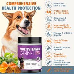 TTLXBL dog vitamin chews close-up highlighting tasty texture and palatable formula for daily use.
