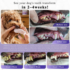 TTsiya dog dental powder dosing scoop shows easy addition to meals.