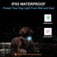 Tubasion waterproof dog light performs in rain and outdoors