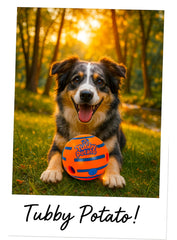 Tubby Potato Tater Tumbler Sound Ball ideal for dogs during active play sessions.