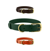 Tuff Pupper Classic Collar close-up of secure buckle with durable weave.