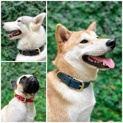 Tuff Pupper Classic collar with leather-style grain finish
