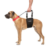 Tuff Pupper sling harness rear view shows secure rear lift for stairs and transfers.