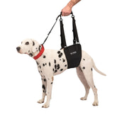 Tuff Pupper dog sling hip harness rear-lift supports senior dogs during movement