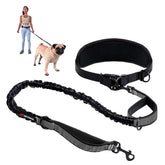 Tuff Pupper heavy-duty hands-free leash main view for confident, hands-free walking
