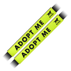 Tuff Pupper leash sleeve displaying Adopt Me for high visibility on walks.