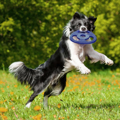 Dog chews the Tough Rubber Tug Disc during play for durability demonstration.