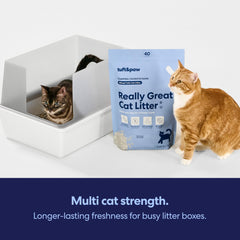 Tuft & Paw OdorStop multi-cat design highlights strength in busy households.