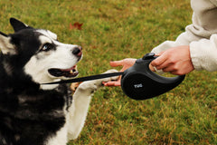 TUG 360° leash ergonomic anti-slip handle improves grip during walks.