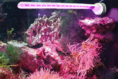 Tunze Eco Chic Refugium 8831 cap lid enables secure access and splash protection