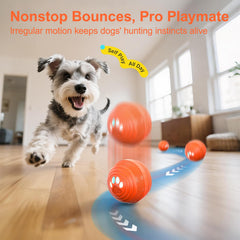 TVM Interactive Dog Ball orange glow mode for nighttime visibility and fun