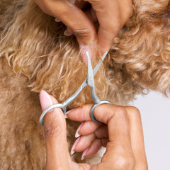 Tweezerman pet grooming scissors curved blade guides precise trimming
