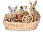 Twilumin 31PCS rabbit chew toys set showing varied natural chews for enrichment.