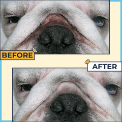 Two Pets and a Half wrinkle care closeup showing paste application on wrinkles