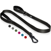 TwoEar leash with padded dual handles for comfortable daily walks