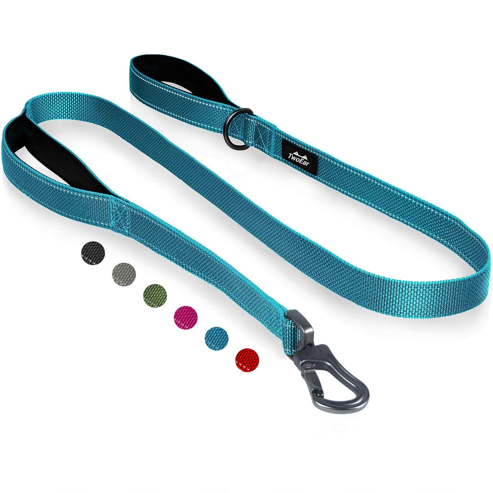 TwoEar 6ft blue dog leash with padded handles for comfortable daily walks.