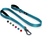 TwoEar 6ft blue dog leash with padded handles for comfortable daily walks.